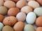 Belleza y Salud-SlowLife-Pagina de contratacion-comer_huevos_IA