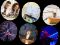 Educacion-MarkersClub-Pagina de contratacion-mc_experimentos_en_familia_IA